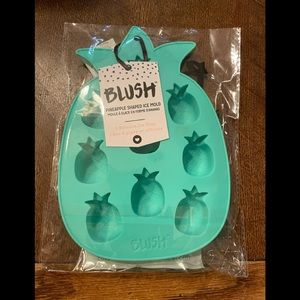 BLUSH Pineapple Shaped Ice Mold NIB